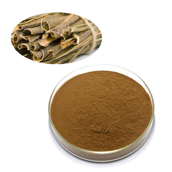 Bruine kleur Gezondheidsvoedsel Spice Cinnamon Powder Ceylon Cinnamon Extract Powder 10:1 0