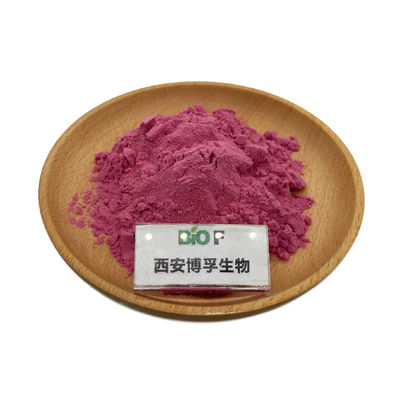 Fabrieksvoorziening Groothandelsprijs Cranberry Extract Poeder Cranberry Juice Poeder Cranberry Poeder